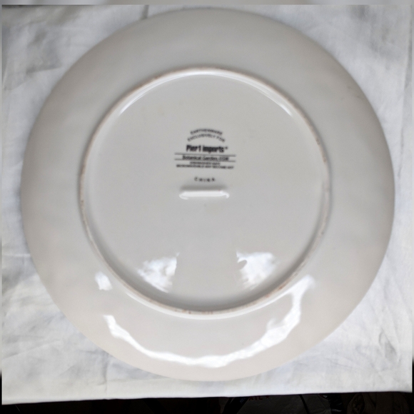 Pier 1 Dining Pier One Botanical Garden Dinner Plate Poshmark